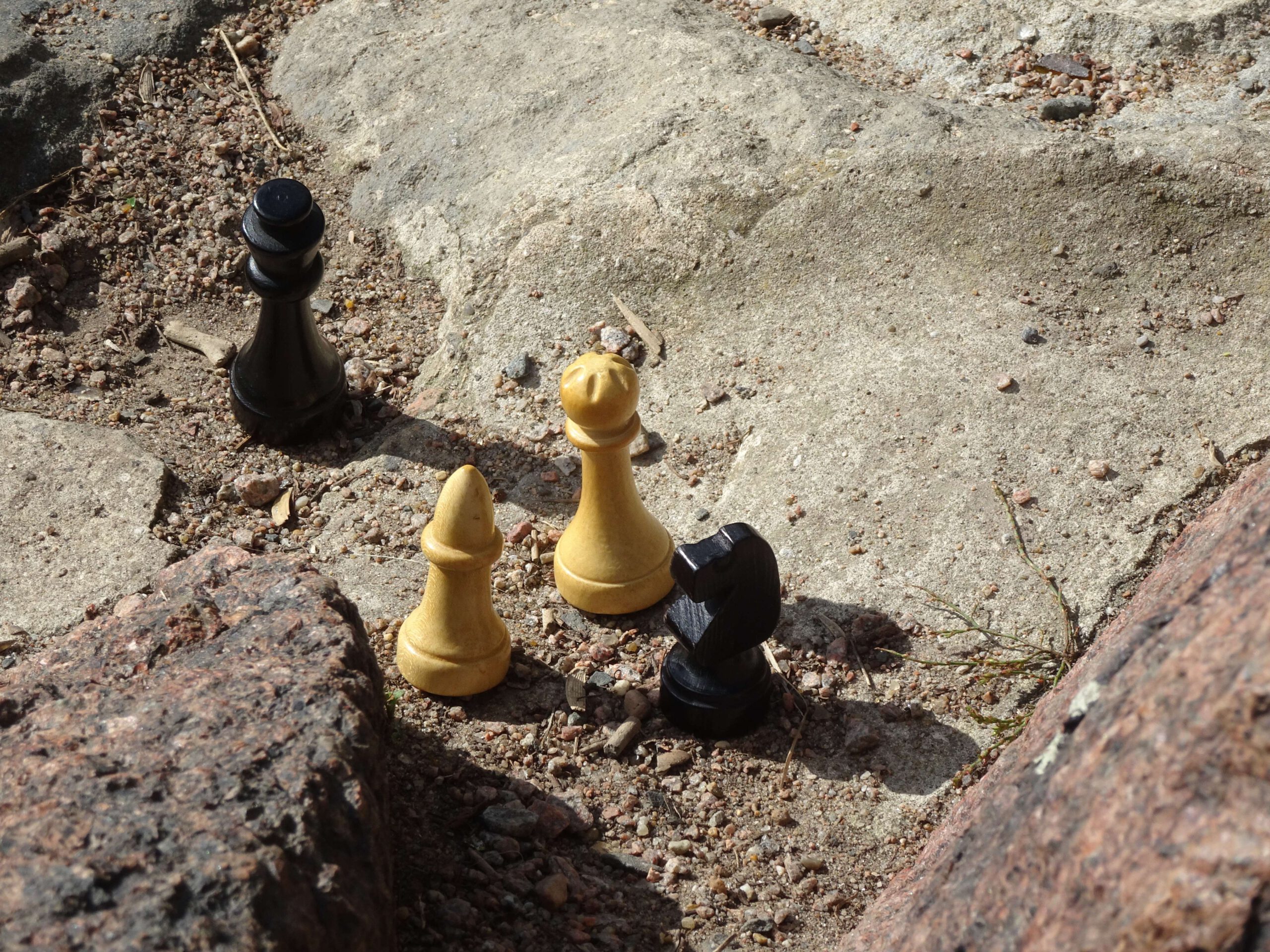 2020 Schwarz Weiss Bunt 2020 Schwarz Weiss Bunt